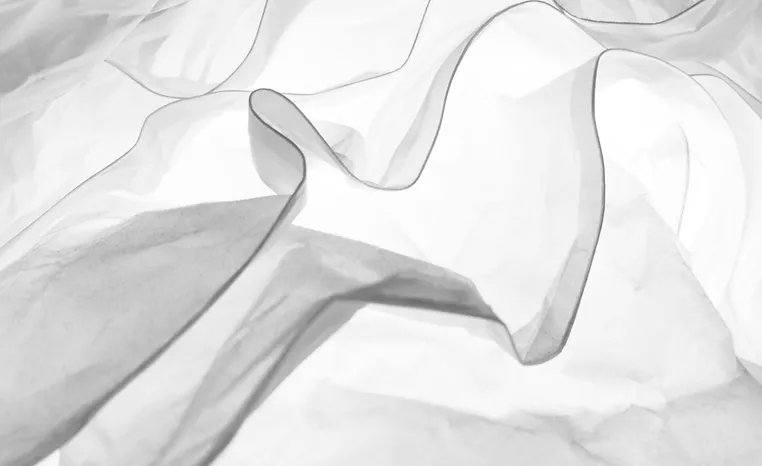 Metamorphosis — inspiration