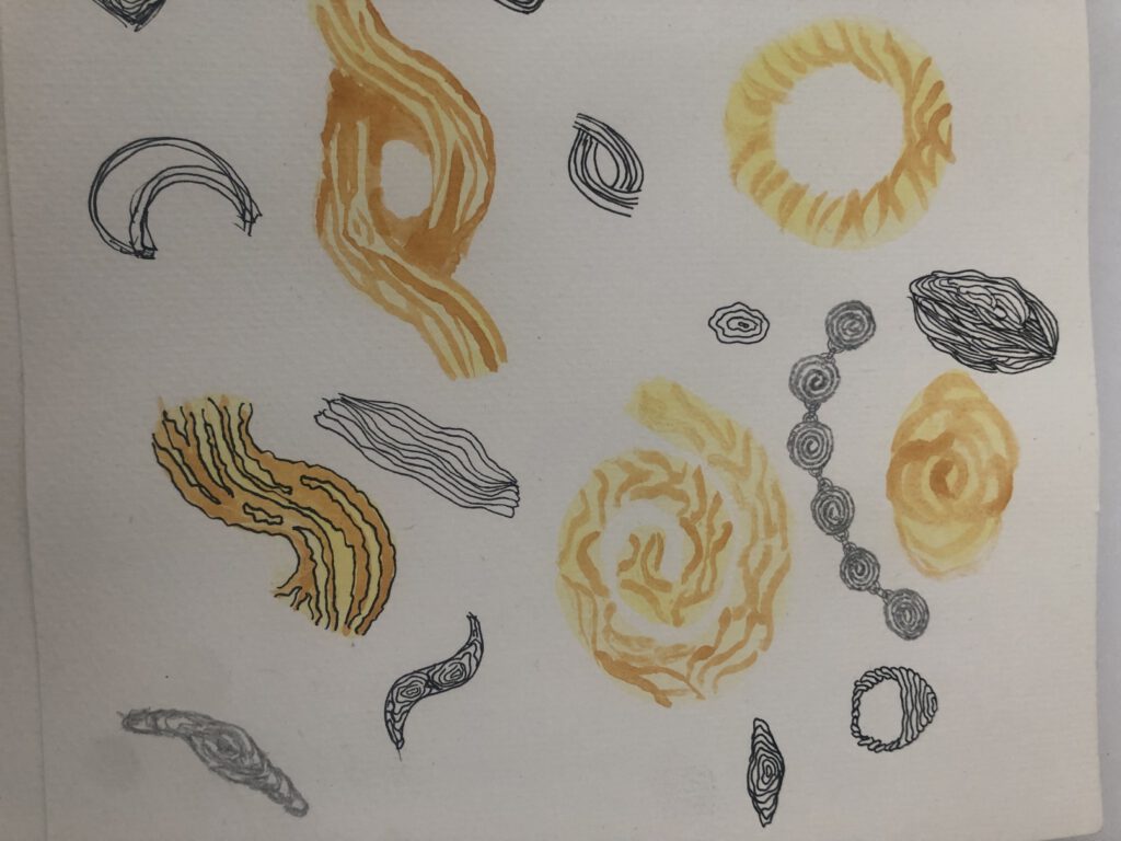 Metamorphosis — proces, billede 8
